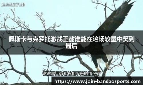 半岛体育